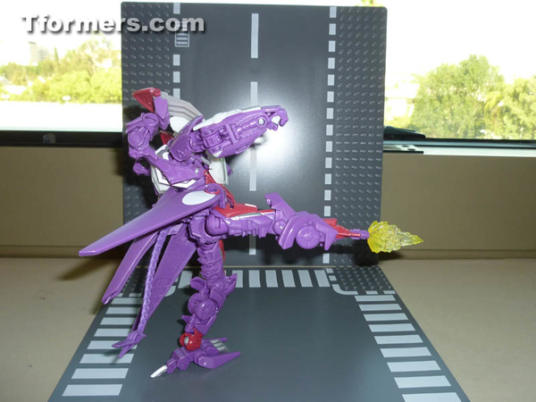 Botcon 2014 Knight 3 Pack Attendee Set  (13 of 82)